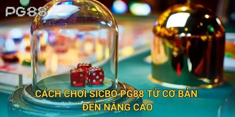 Cách chơi sicbo Pg88 từ cơ bản đến nâng cao