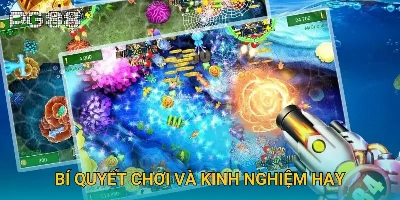 Bí quyết chơi và kinh nghiệm hay